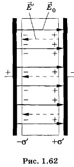 ���� ������ �����������