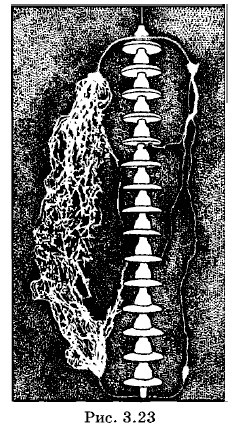 �������� ������