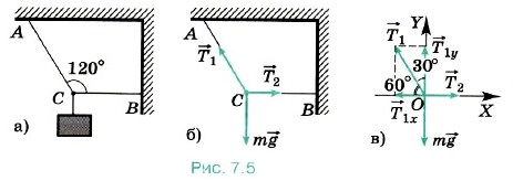 ���� ����� �� ���� ������