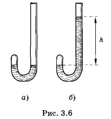 ���� ��������������