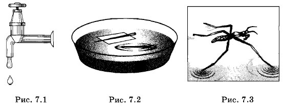 ������������� �������