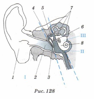 �������� ��� ��������