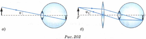 ���� ����������� ���� ������