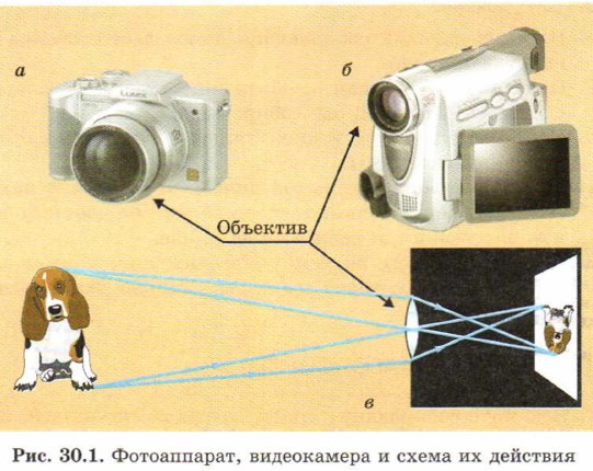 �����������, ����������� � ����� �� ��������