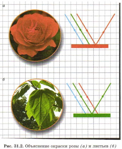 ���������� ������� ����