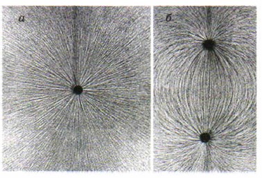 ��������� �������������� ����