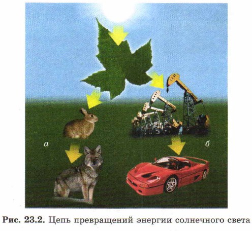 ���� ����������� ������� ���������� �����