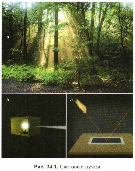 �������� �����