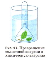 ����������� ��������� ������� � ���������� �������