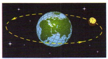 ���������� �������� ���� ������ �����