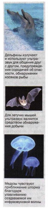 �������� �������� � ���������� ���������� ��� ������� ���� � ������, �������������� ��������� �� ���������, ����������� ������� ����