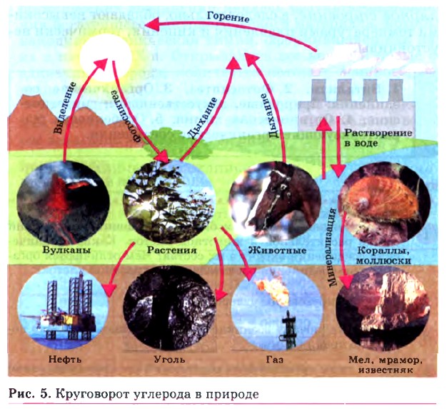 ���������� �������� � �������