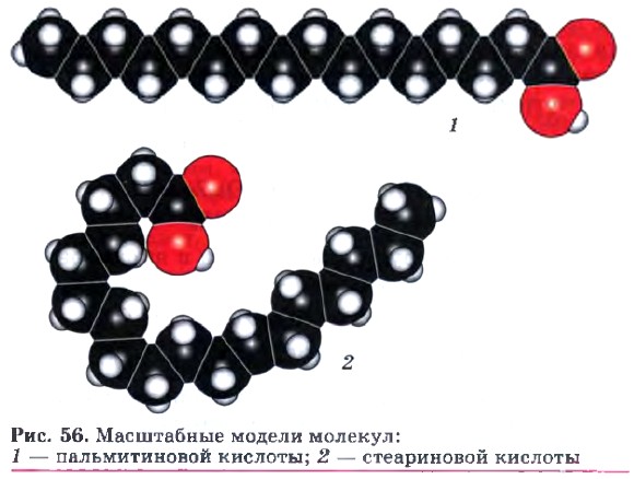 ���������� ������ �������