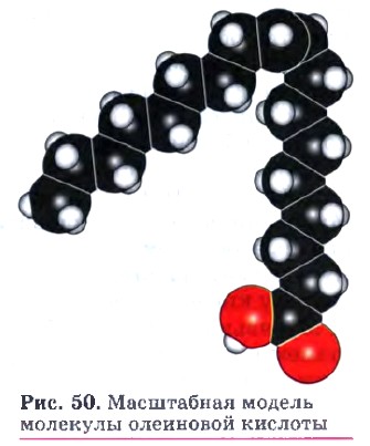 ���������� ������ �������� ��������� �������