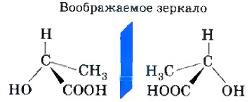 ��������������� ����