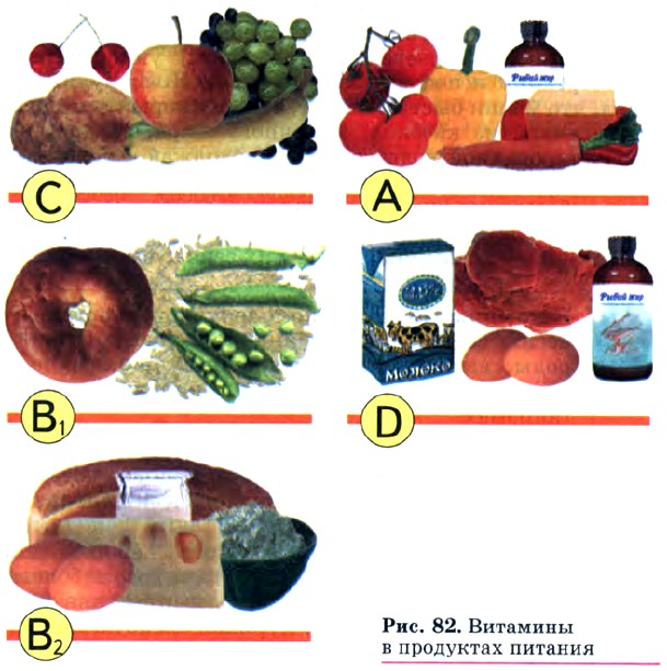 �������� � ��������� �������