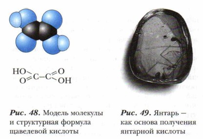 ������ �������� � ����������� ������� ��������� �������