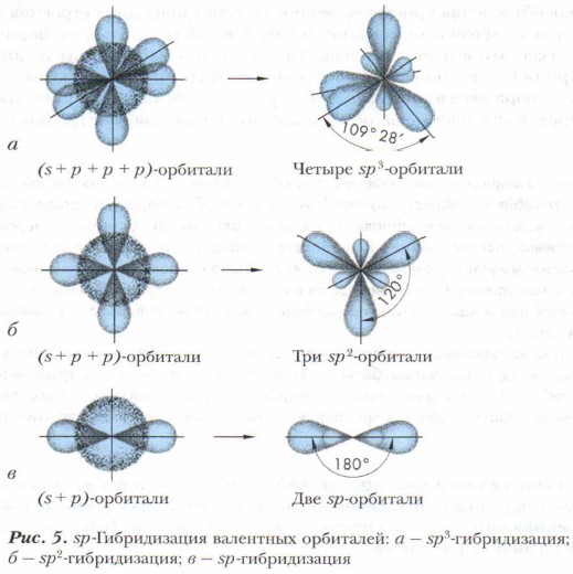 ������������ ��������� ���������
