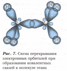 ����� ������������ ����������� ���������