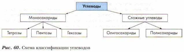 ����� ������������� ���������