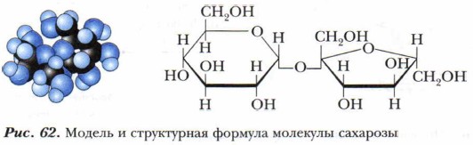 ������ � ����������� ������� �������� ��������