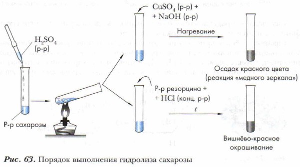 ������� ���������� ��������� ��������