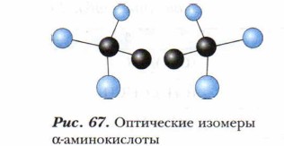 ���������� ������� �-������������