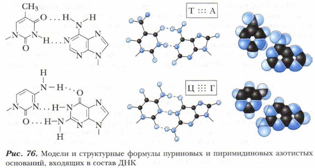 ������ � ����������� ������� ��������� � ������������� ��������� ���������