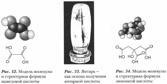 ������ �������� � ����������� ������� ��������� �������