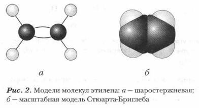 ������ ������� �������