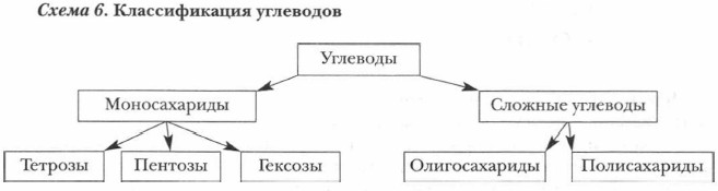 ������������� ���������