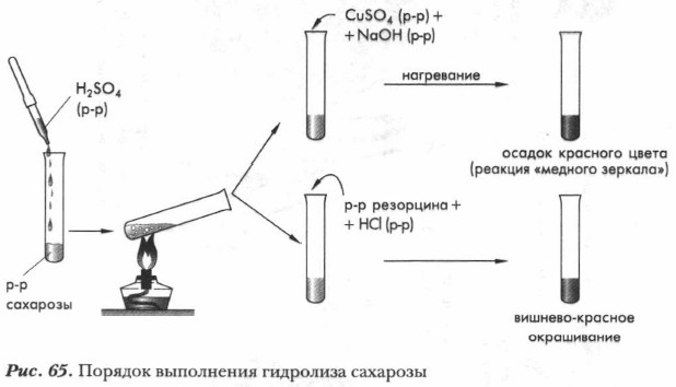 ������� ���������� ��������� ��������