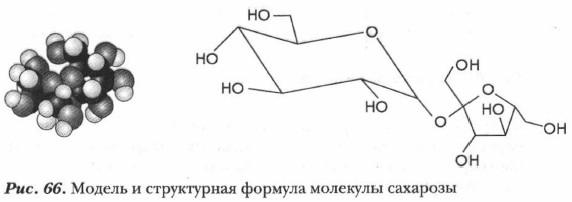 ������ � ����������� ������� �������� ��������