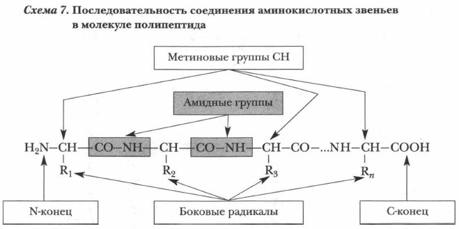 ������������������ ���������� �������������� ������� � �������� �����������