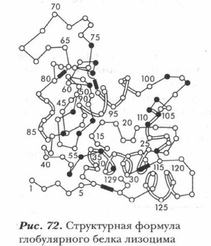 ����������� ������� ������������ ����� ��������