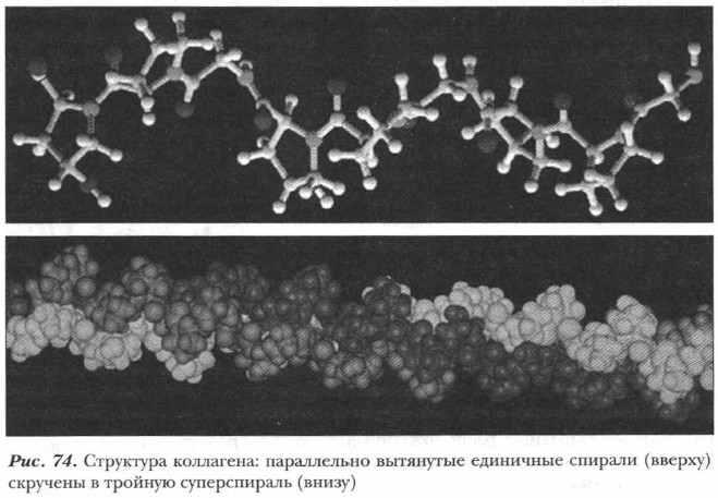 ��������� ���������