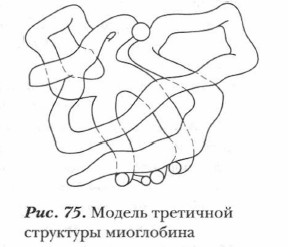 ������ ��������� ��������� ����������