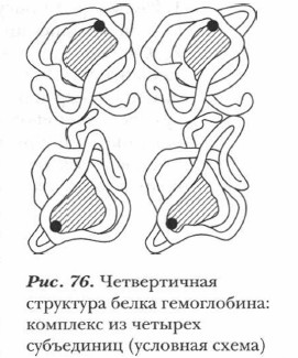 ������������ ��������� ����� �����������