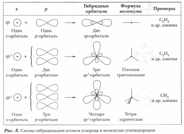 ����� ������������ ������ �������� � ��������� �������������