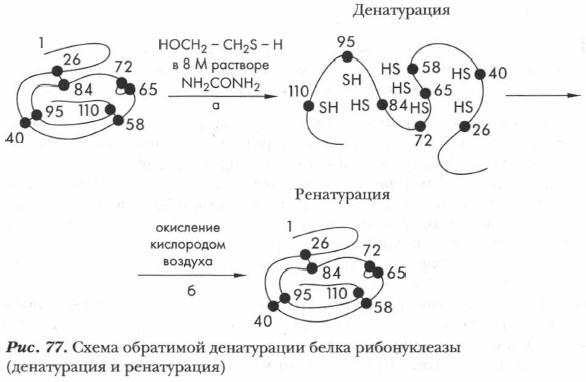 ����� ��������� ����������� ����� ������������