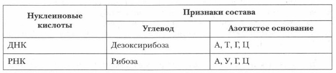 ���������� ��� � ���