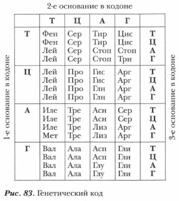 ������������ ���