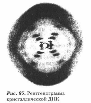 �������������� ��������������� ���