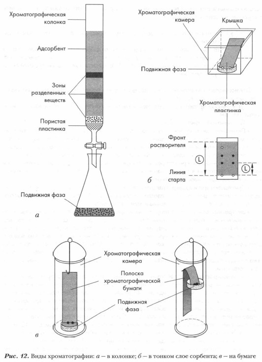 ���� �������������