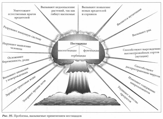 ��������, ���������� ����������� ����������