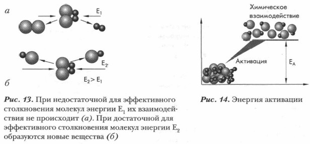 ������� ���������