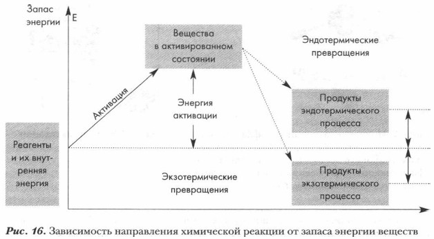 ���� ������ �� ���������� ���������� �������