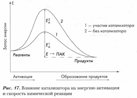 ������� ������������ �� ������� ��������� � �������� ���������� �������