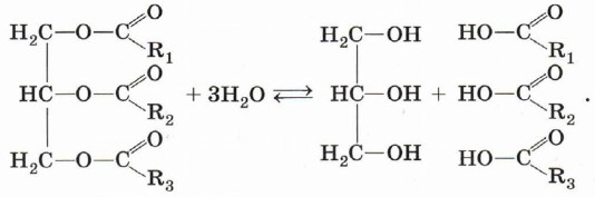 ��� ����, ��� � ������ ������� �����, ������������ ���������