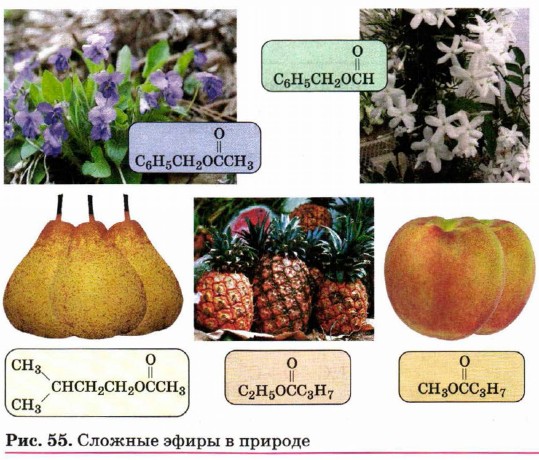 ������� ����� � �������